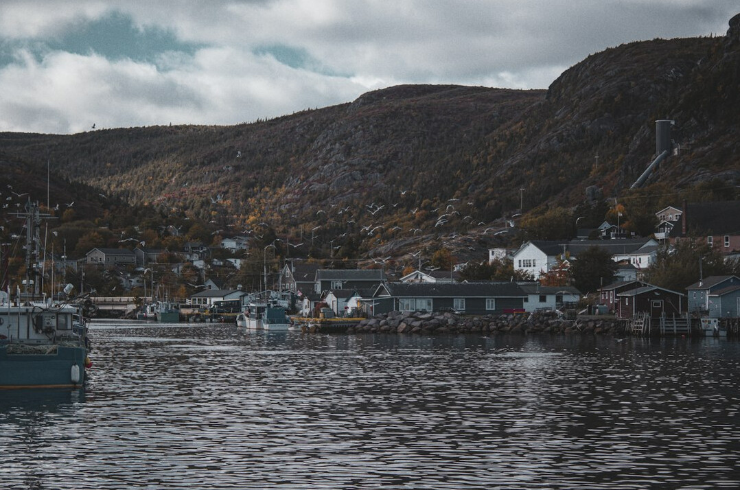 Colorful fishing village houses along a rocky coast in Newfoundland